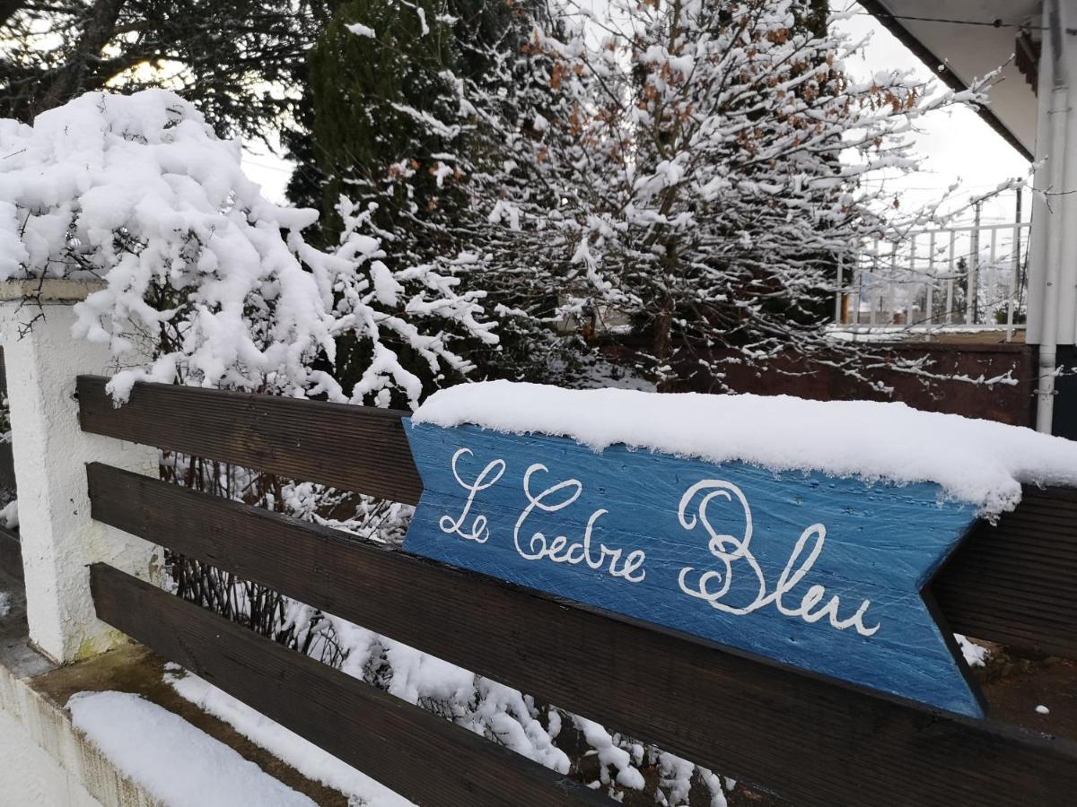 Hotel Le Cedre Bleu Saint-Michel-sur-Meurthe Zewnętrze zdjęcie