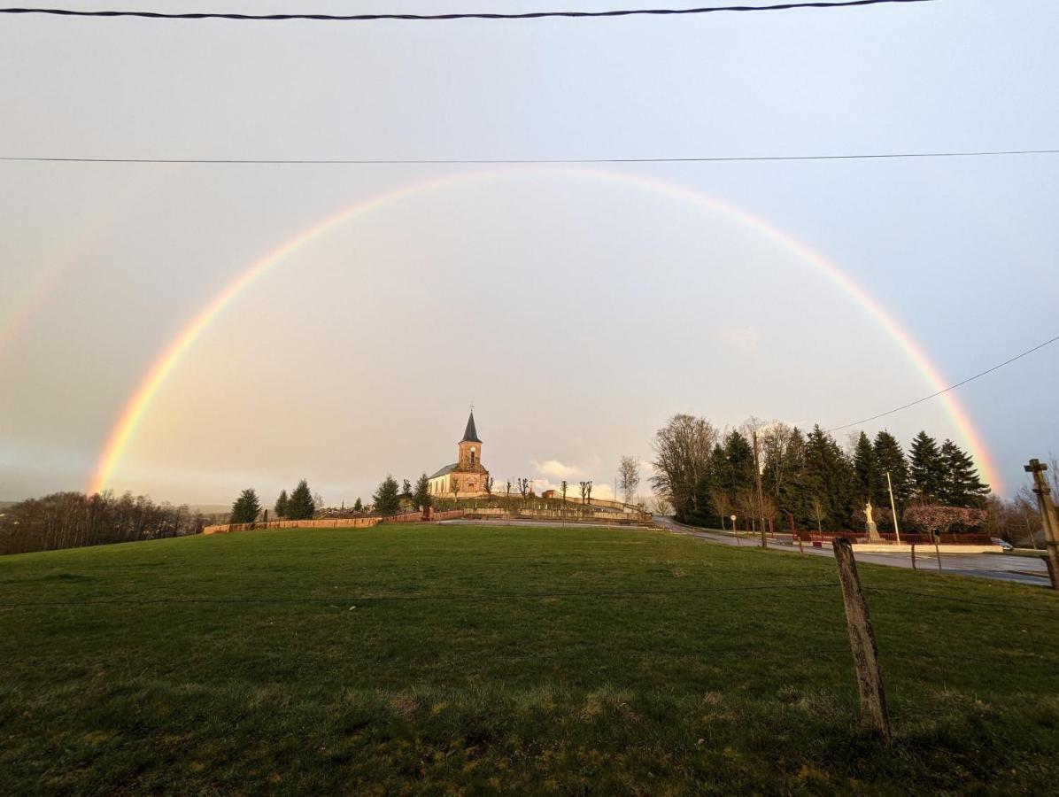Hotel Le Cedre Bleu Saint-Michel-sur-Meurthe Zewnętrze zdjęcie